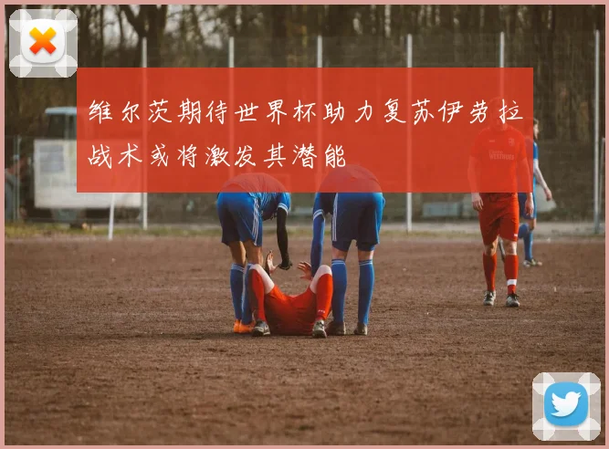 维尔茨期待世界杯助力复苏伊劳拉战术或将激发其潜能